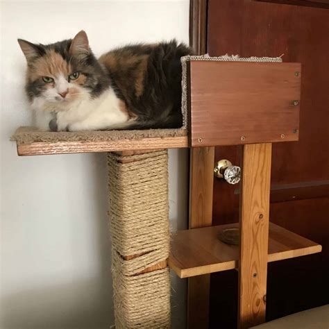 hang cat box on a metal pole|diy cat tree tower.